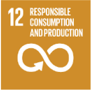 Responsible consumption and production
