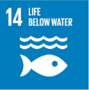 Life below water