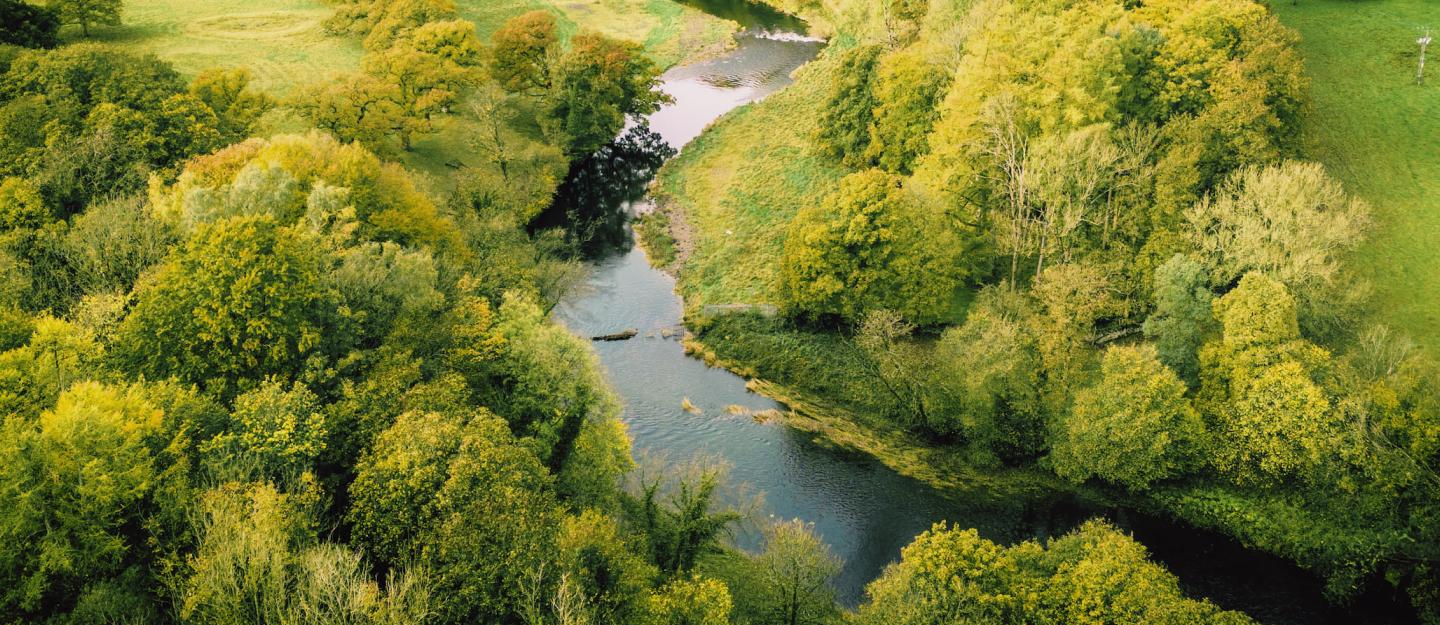 Image of a river running through some trees
